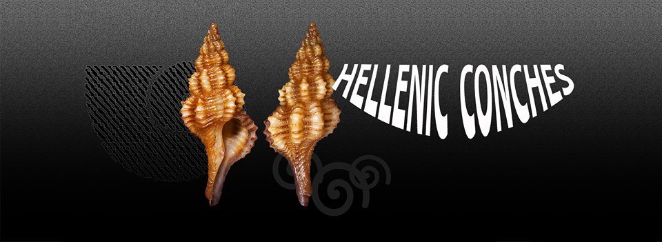 facebook Group Hellenic Chonches 